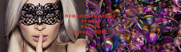 соль ск Алексин