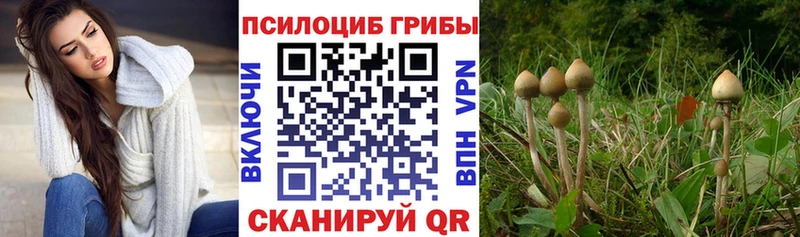 Галлюциногенные грибы мицелий  Шелехов 